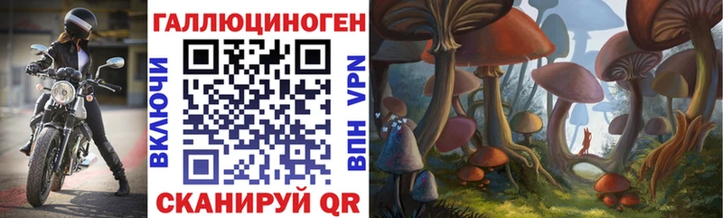 наркота  Гай  Псилоцибиновые грибы ЛСД 